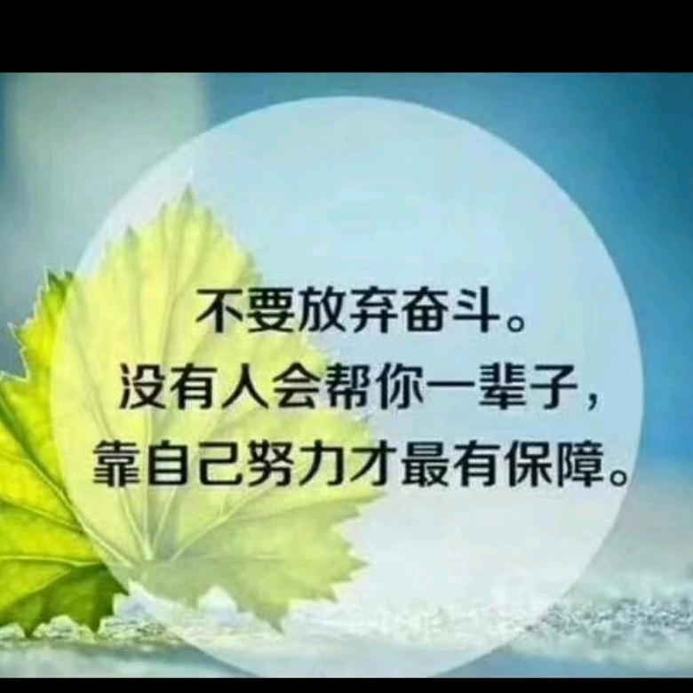 我的一切我做主