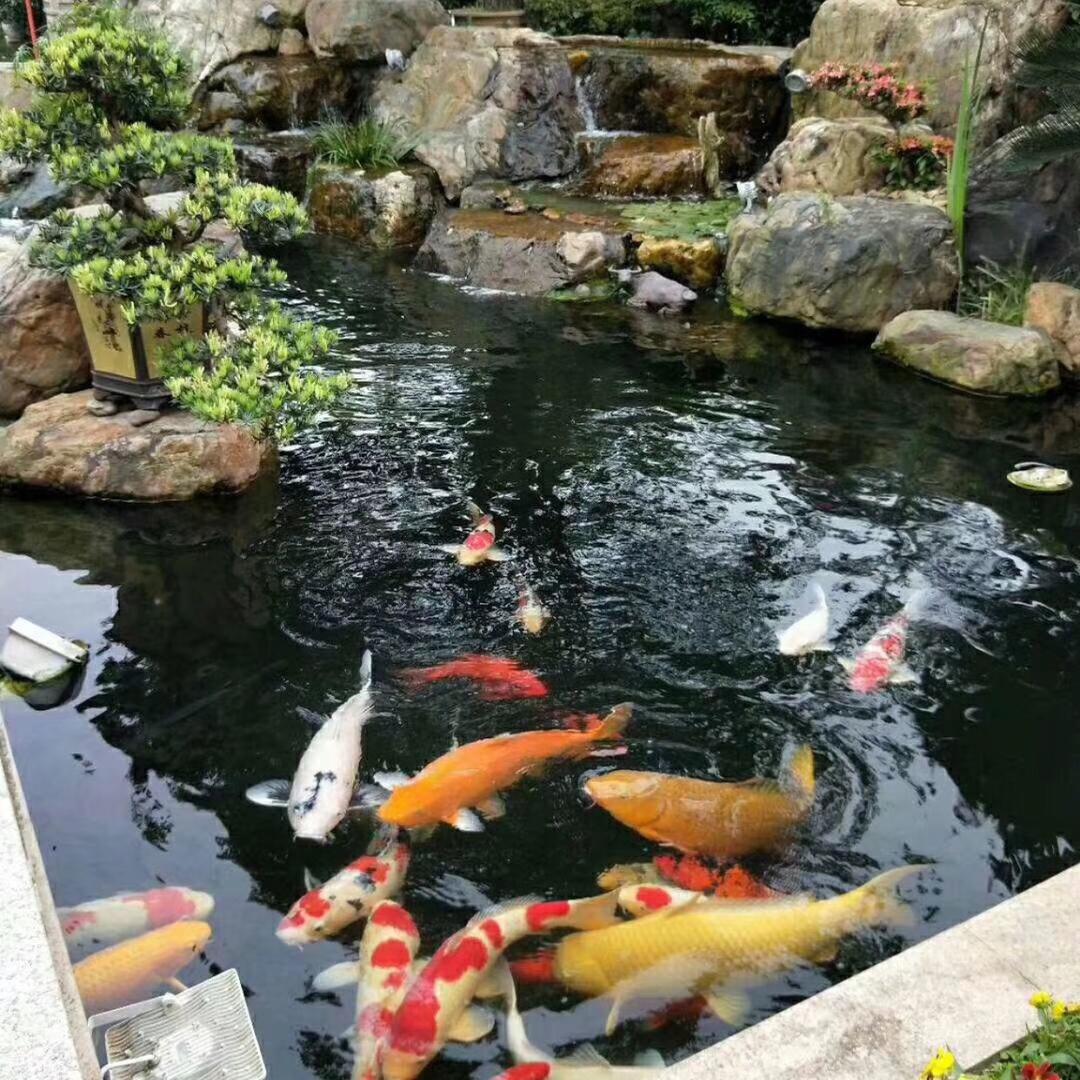 百草药业