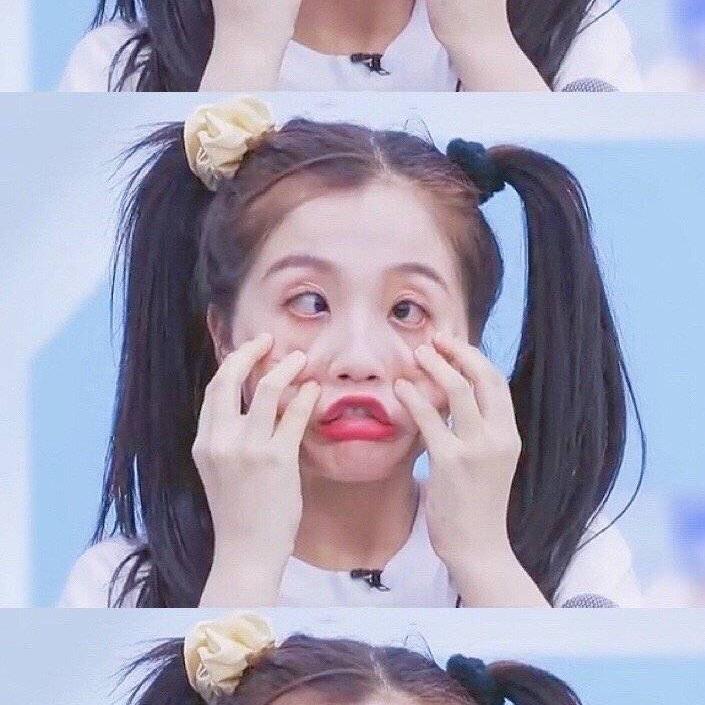 欣欣的日常生活