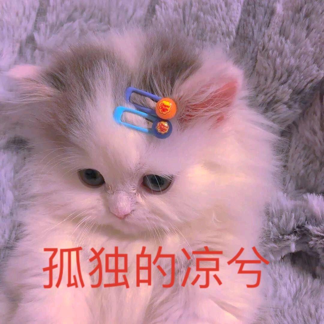 孤独的凉兮