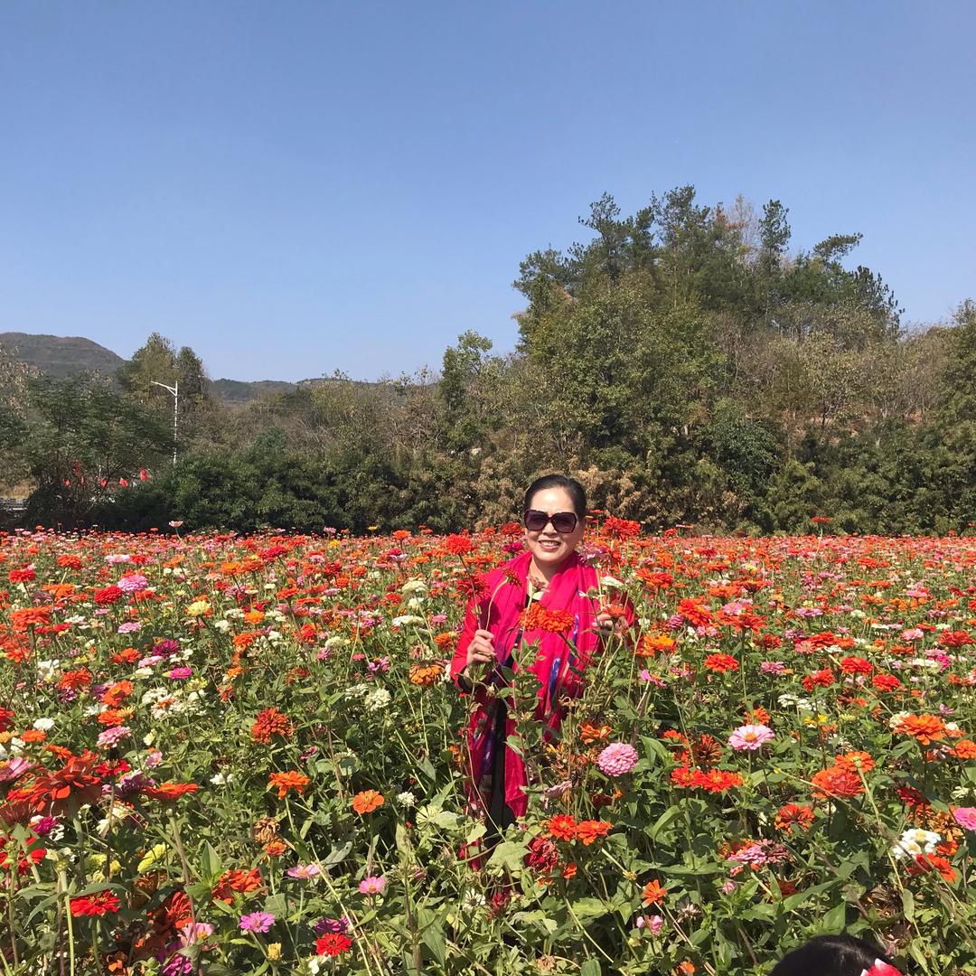 晏九九本人（可叫晏姐）