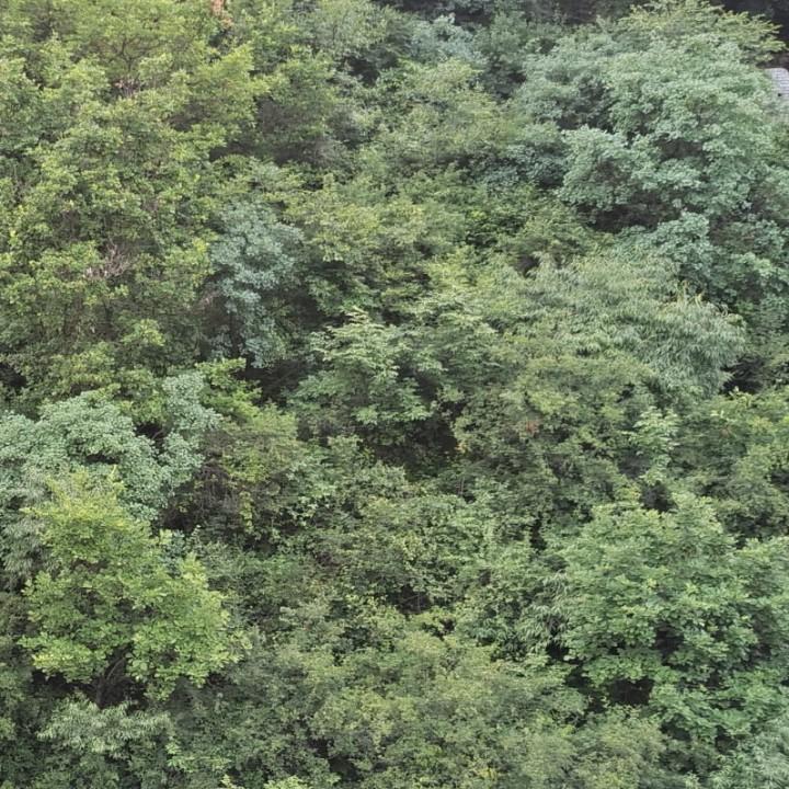 用户5526441519724