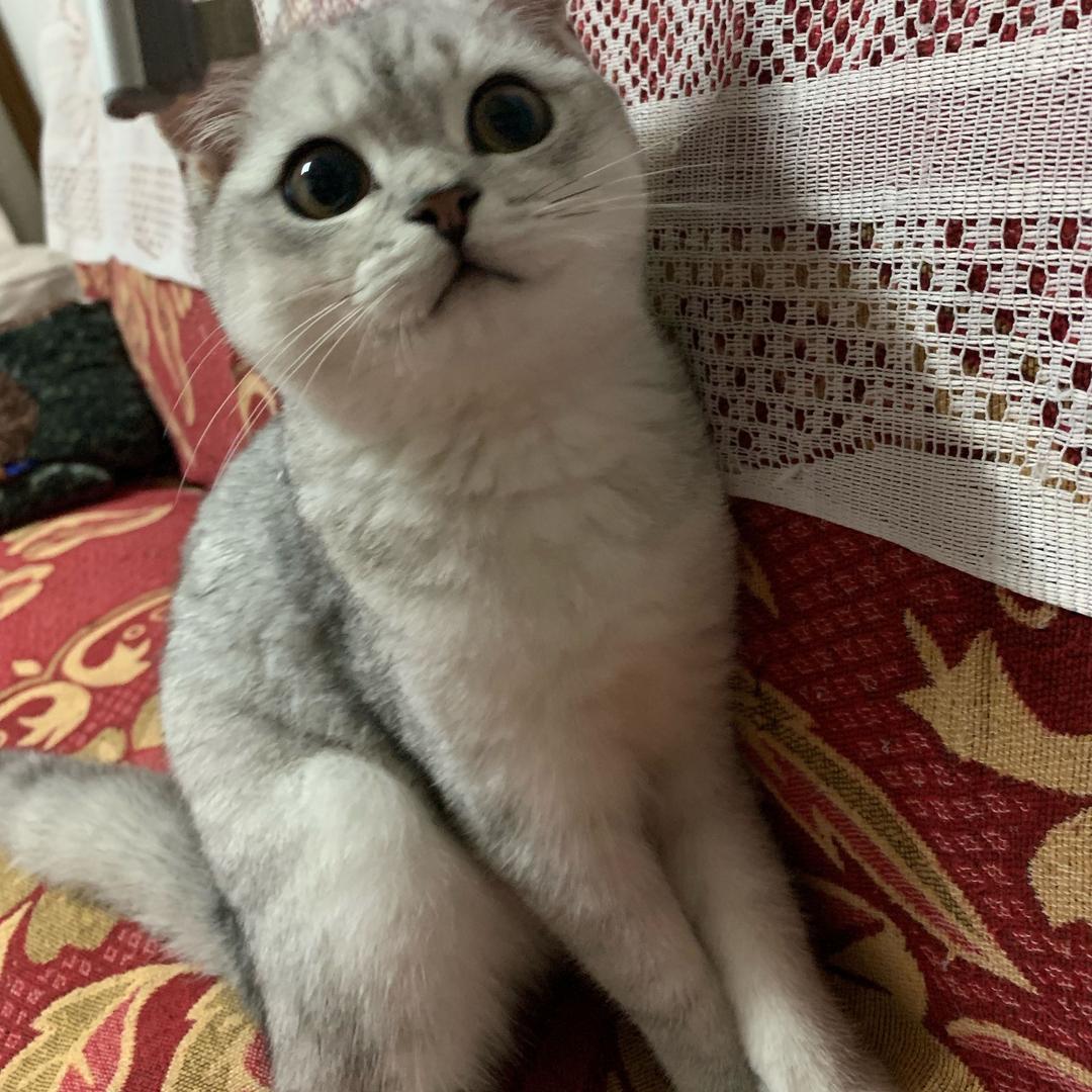 nnnnn