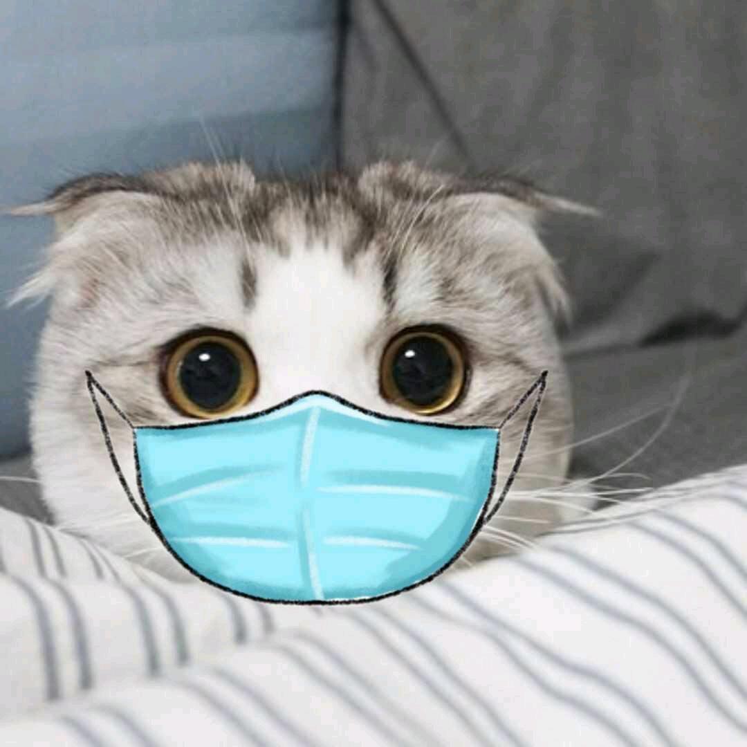 嘿嘿侠