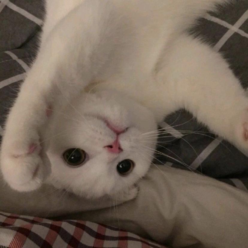 小嘉饿了