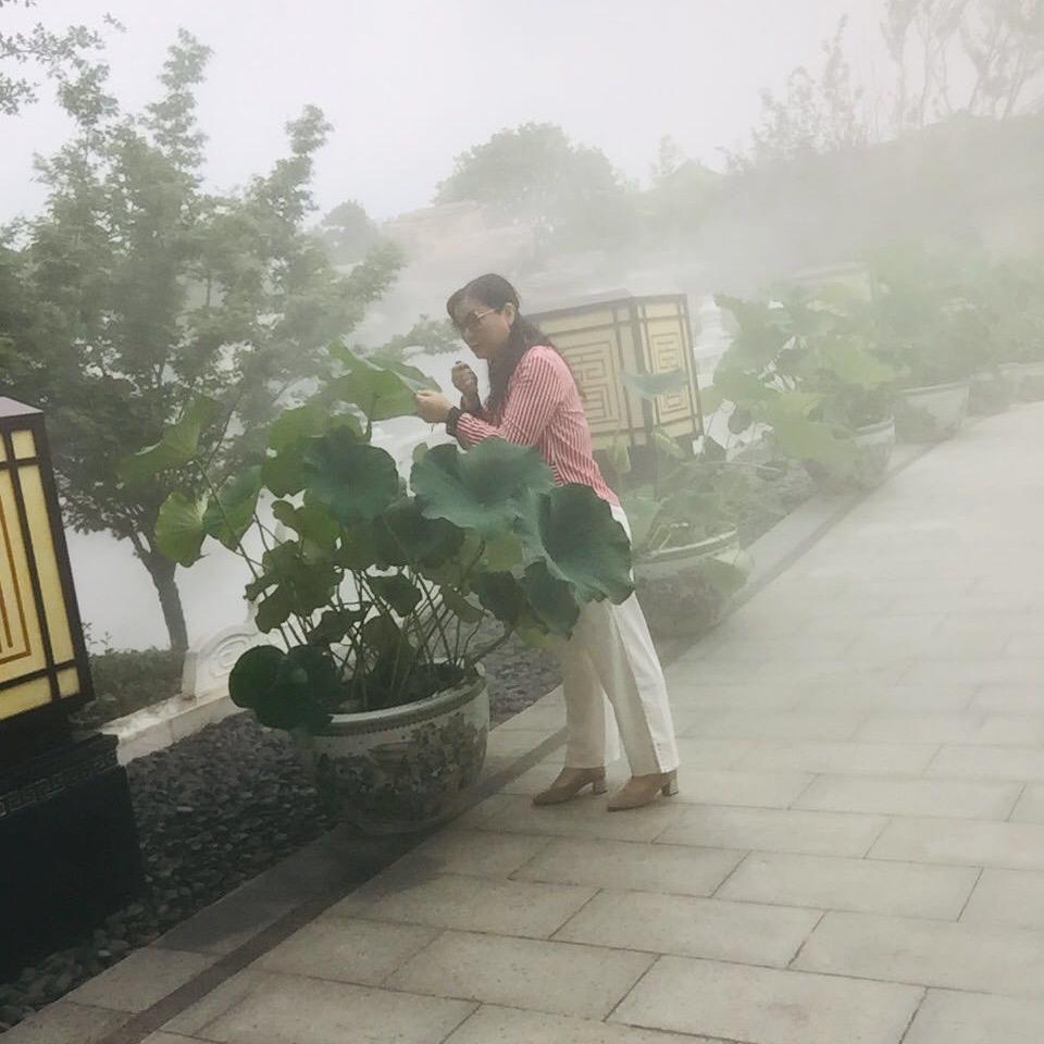 三辰艺术