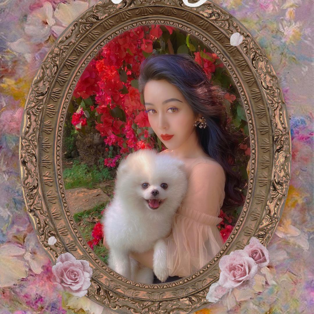 🐷ིྀ.朱小胖不长胖