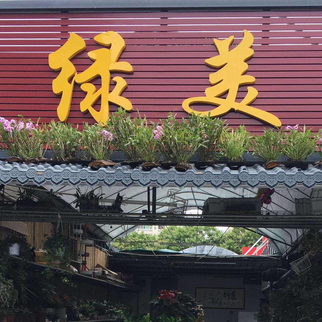 深圳绿美园艺阿婷