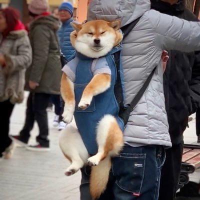 Rrrrrrudy实况剪辑狮