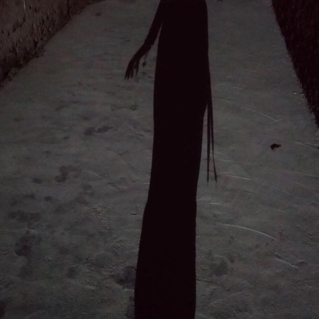 丹魂宗