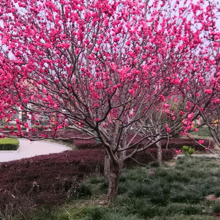 顺风,
