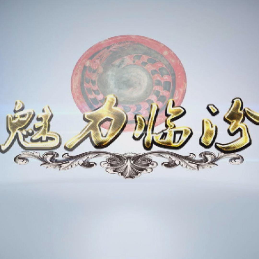 《魅力临汾》