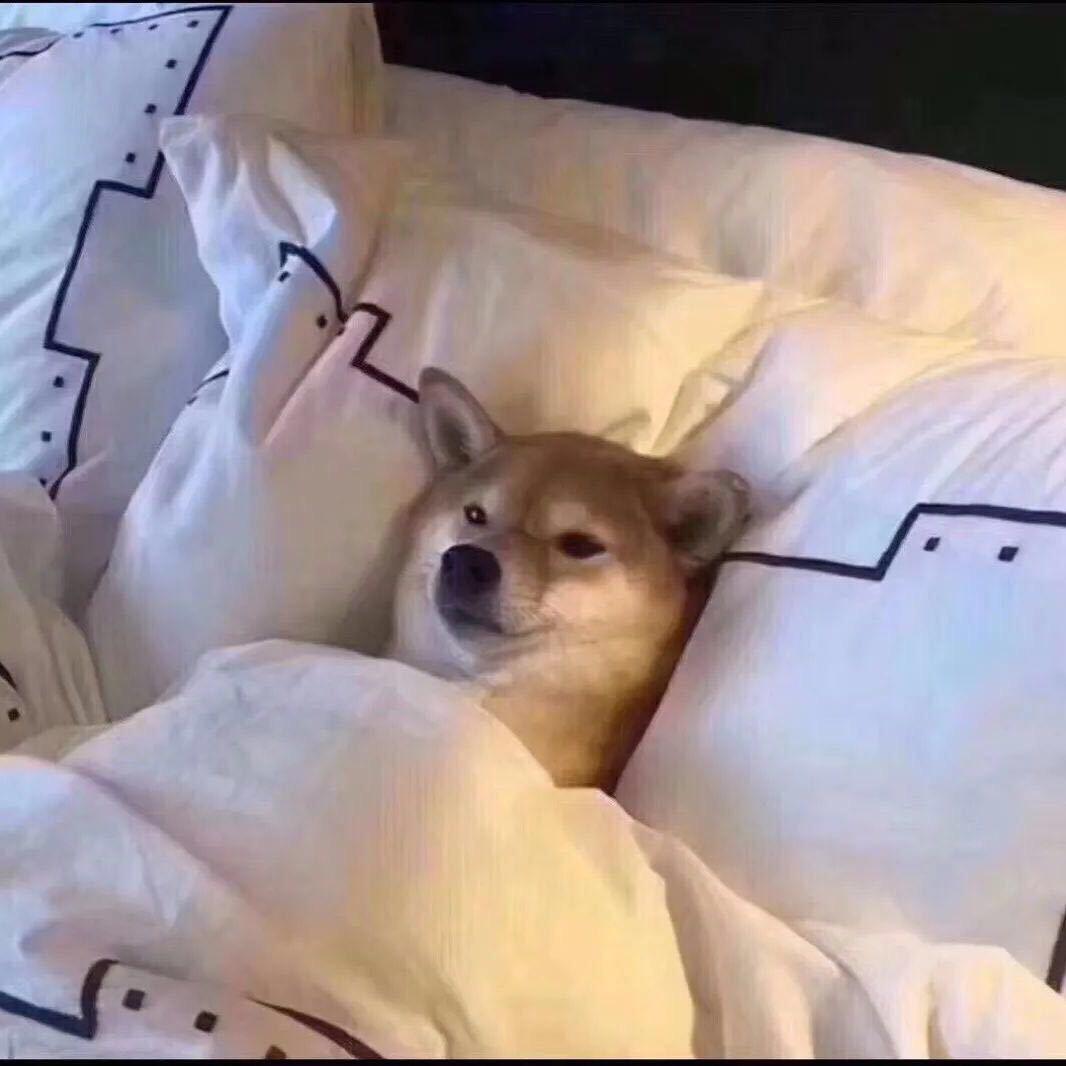 扮猪吃黄连