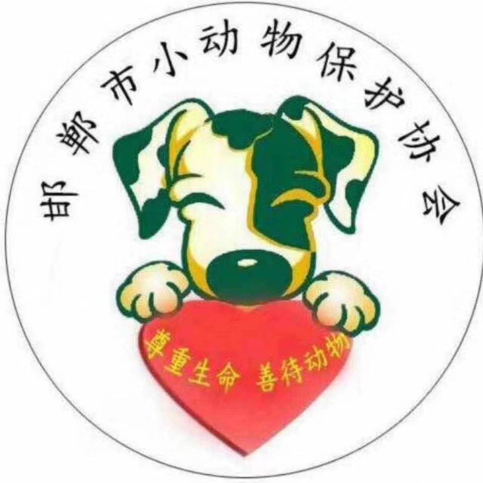 邯郸动保