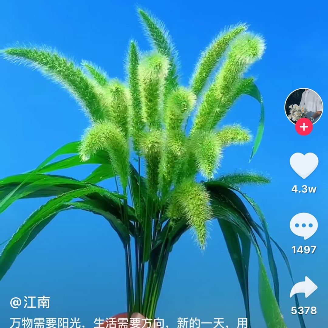 珍惜