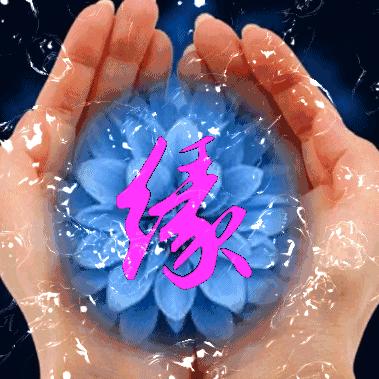 建泓TPE，TPR，TPV李德锋