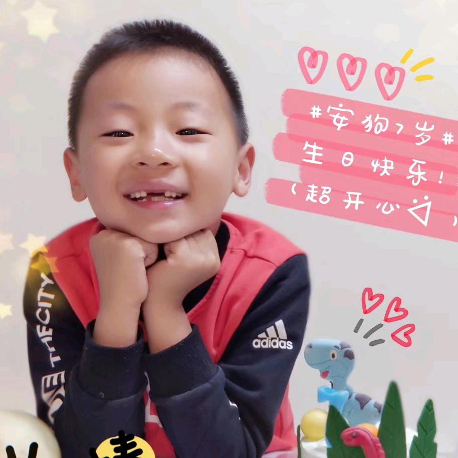 狗狗