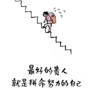 刘丹丹