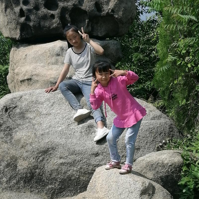 宠物养殖（柯基.泰迪，小鹿犬）