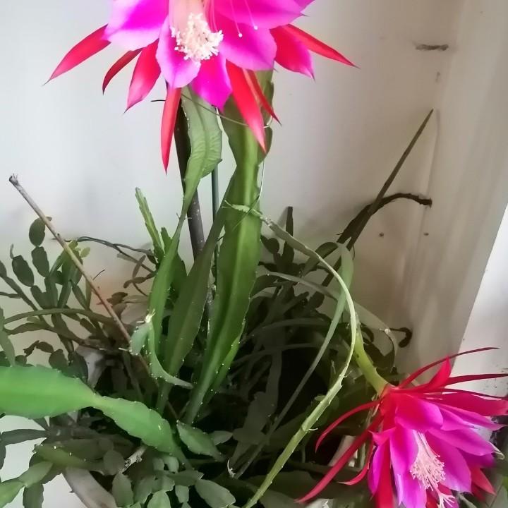 一生有你