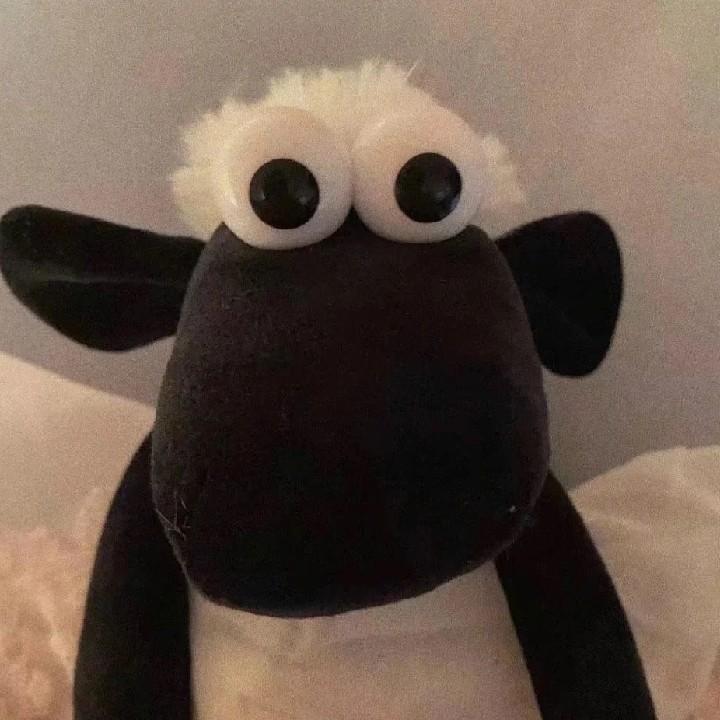 媛➡️