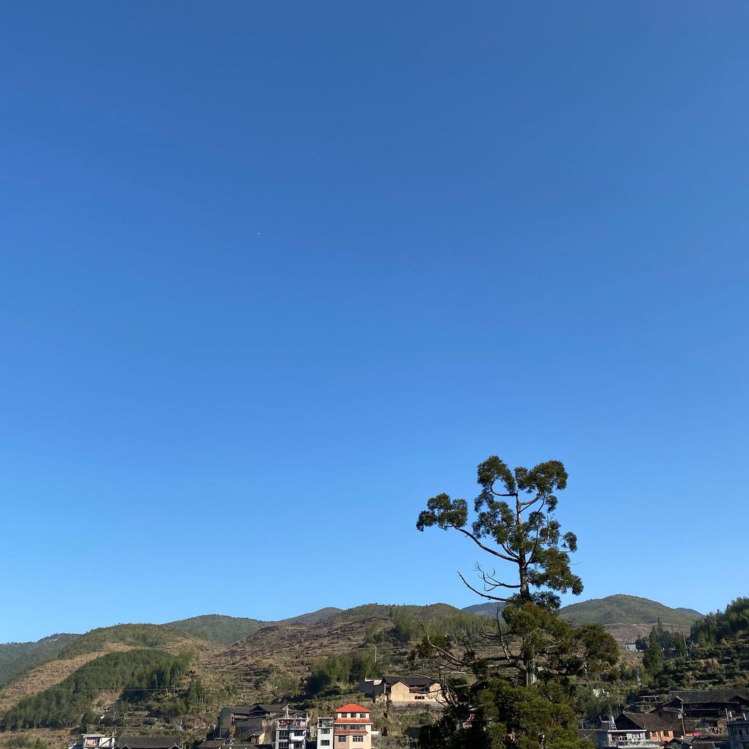 康丁标胸
