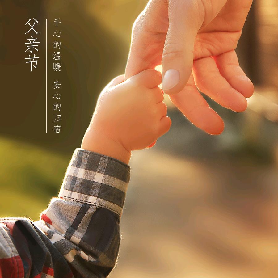 愚夫🌲