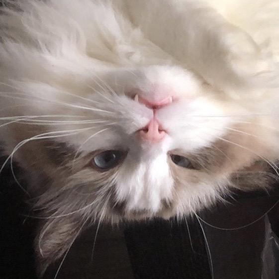 91111111111111111111