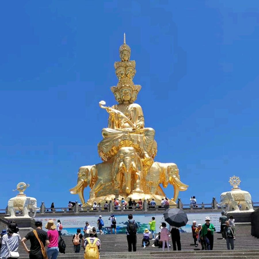 随意