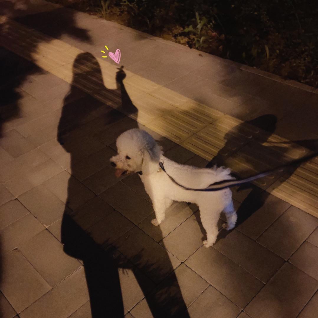 沅宝小皖子🐶 ☁️