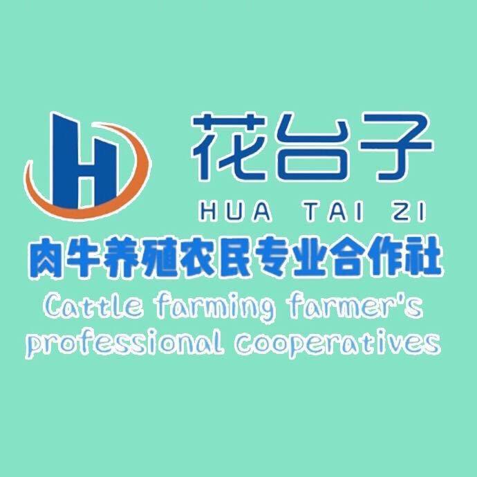 花台子肉牛养殖