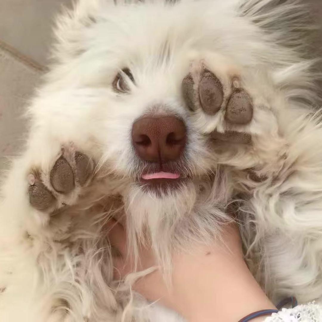 Candice.🧠👩🏻‍🔬