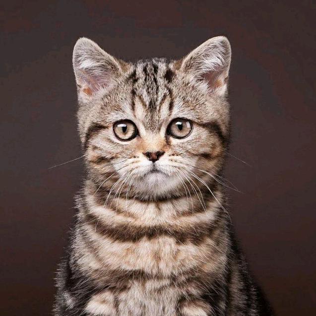 健康快乐每一天