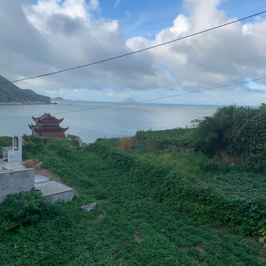 翟龙