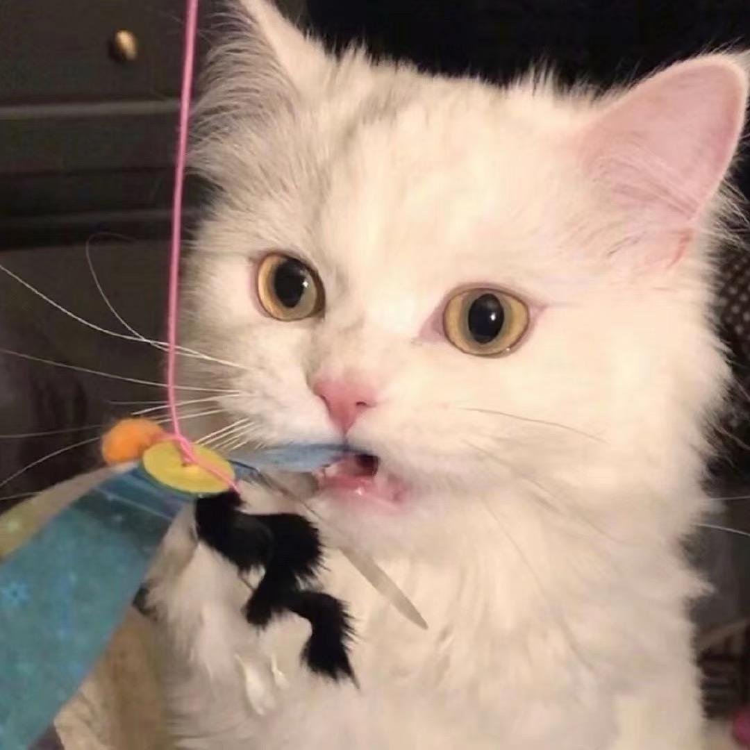 不想开学