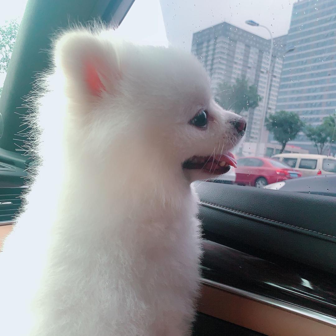 安了一生凉夏_