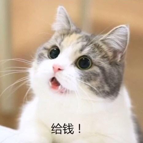 我要怎样才能引起你们的注意