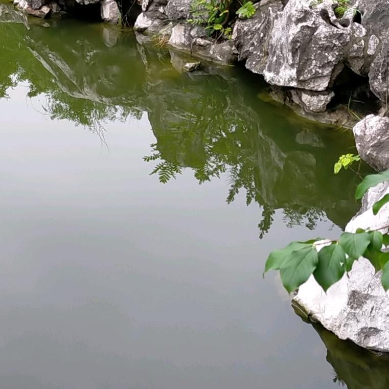 理想
