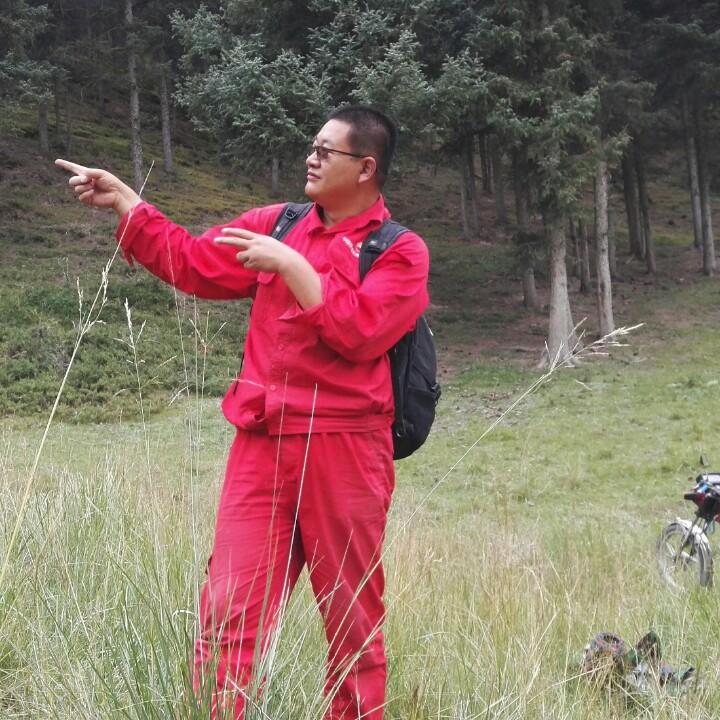 青埂之峰，鸿蒙太空