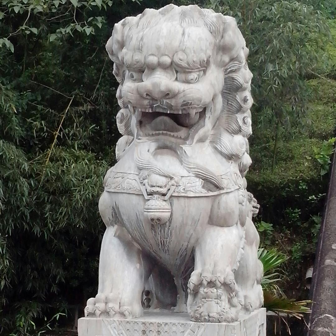 随意。