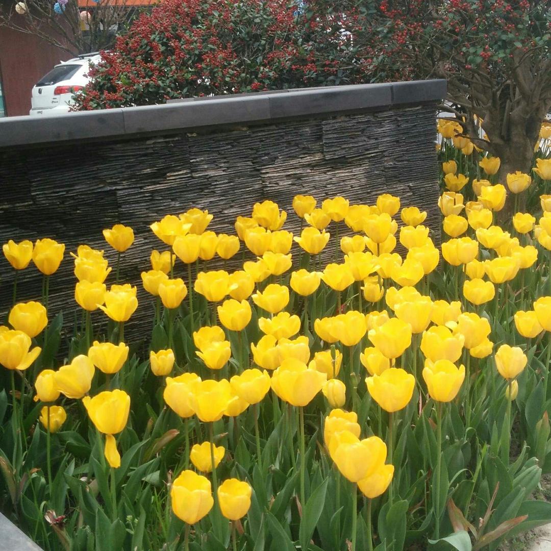 家和万事兴💓💗