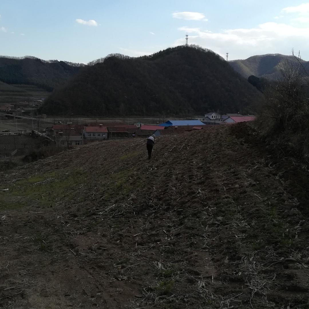 谷乡旺
