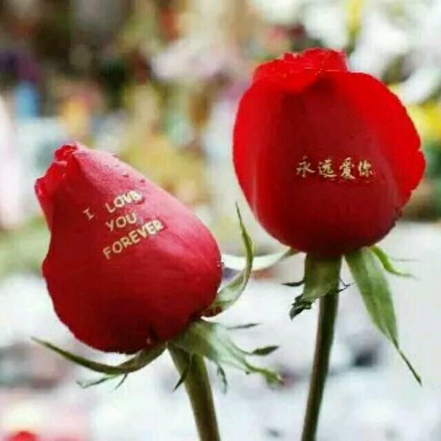 奋发图强╭(╯爱ε你╰)╮