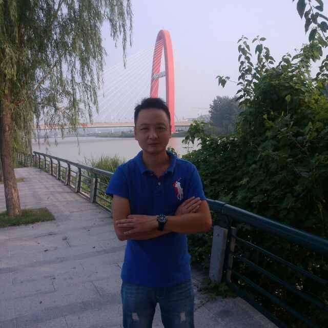 勇往直前的小蚂蚁