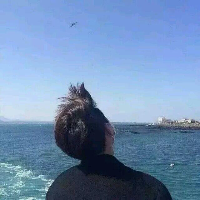 海龙🐉