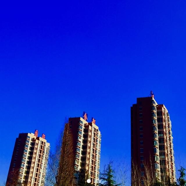 笨鸟_戈戈