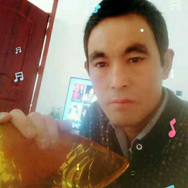 贾振动15963497263_