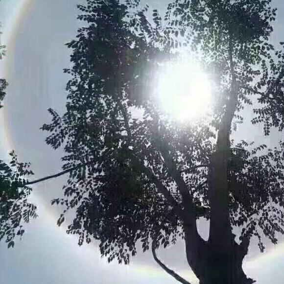 ໑ຼₒ₂₃ღ᭄ 娣🕊꧔ꦿ᭄