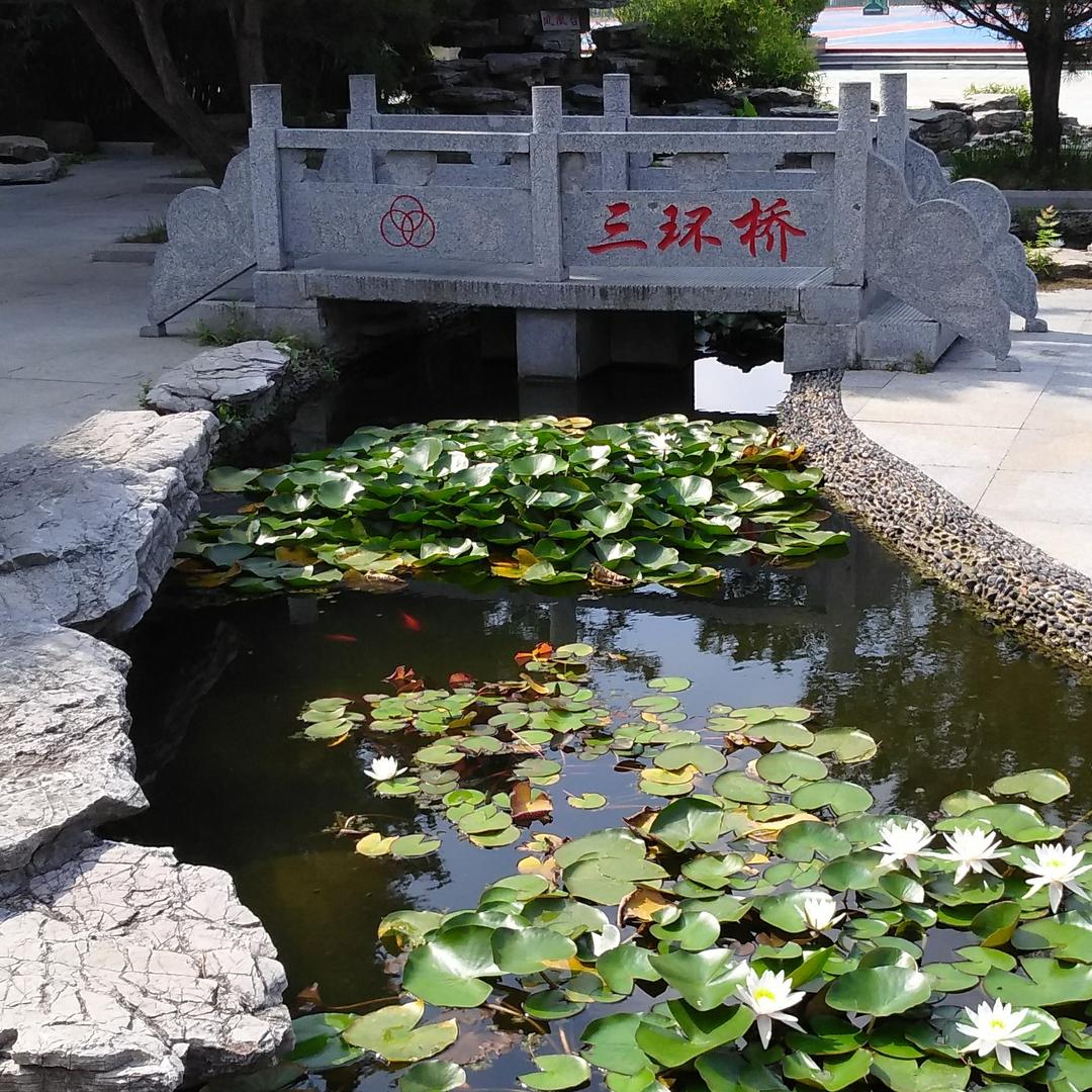 金字塔之光