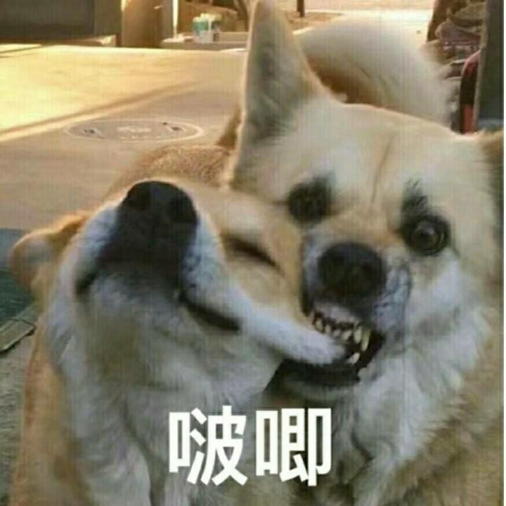 苦练括约肌夹断负心人